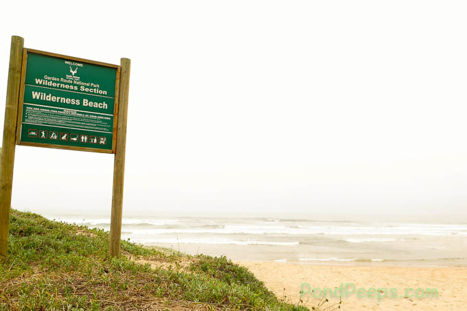 Garden Route National Park South Africa