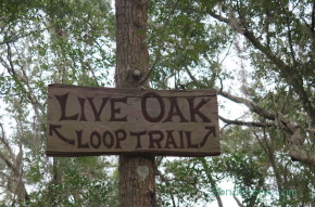 Jacksonville Arboretum has good signage