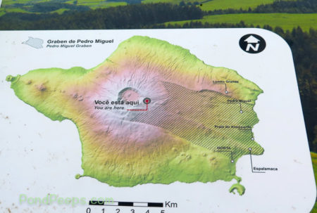 Map of Faial in Road Trip - Azores