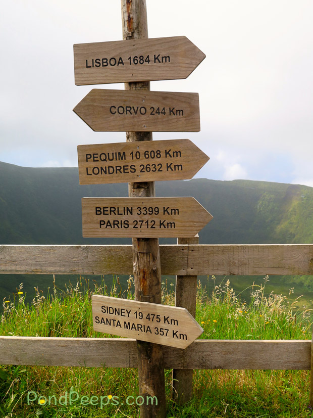 Road signs in Road Trip - Azores