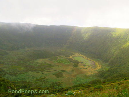 The caldera in Road Trip - Azores